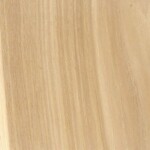 hickory hickory