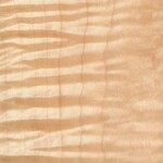 tiger maple tiger maple